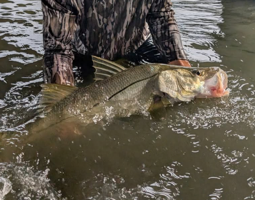 Jonah Lure Works Paddle tail Swim Baits for Snook and red fish