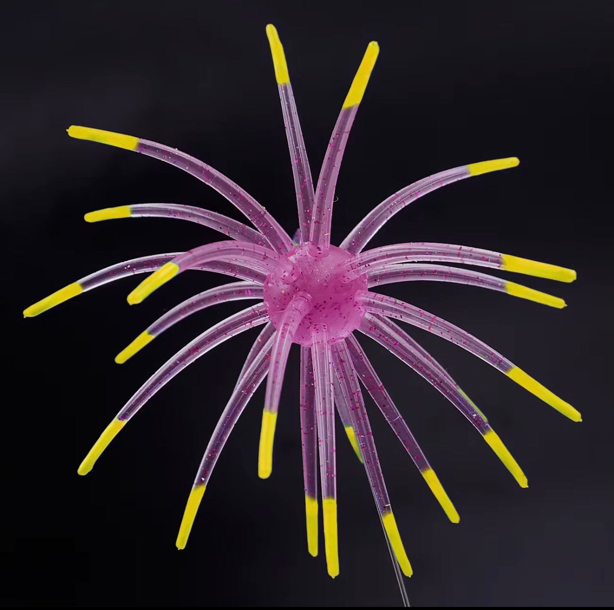 Urchin Bait - 1 pack - 11mm (limited run)