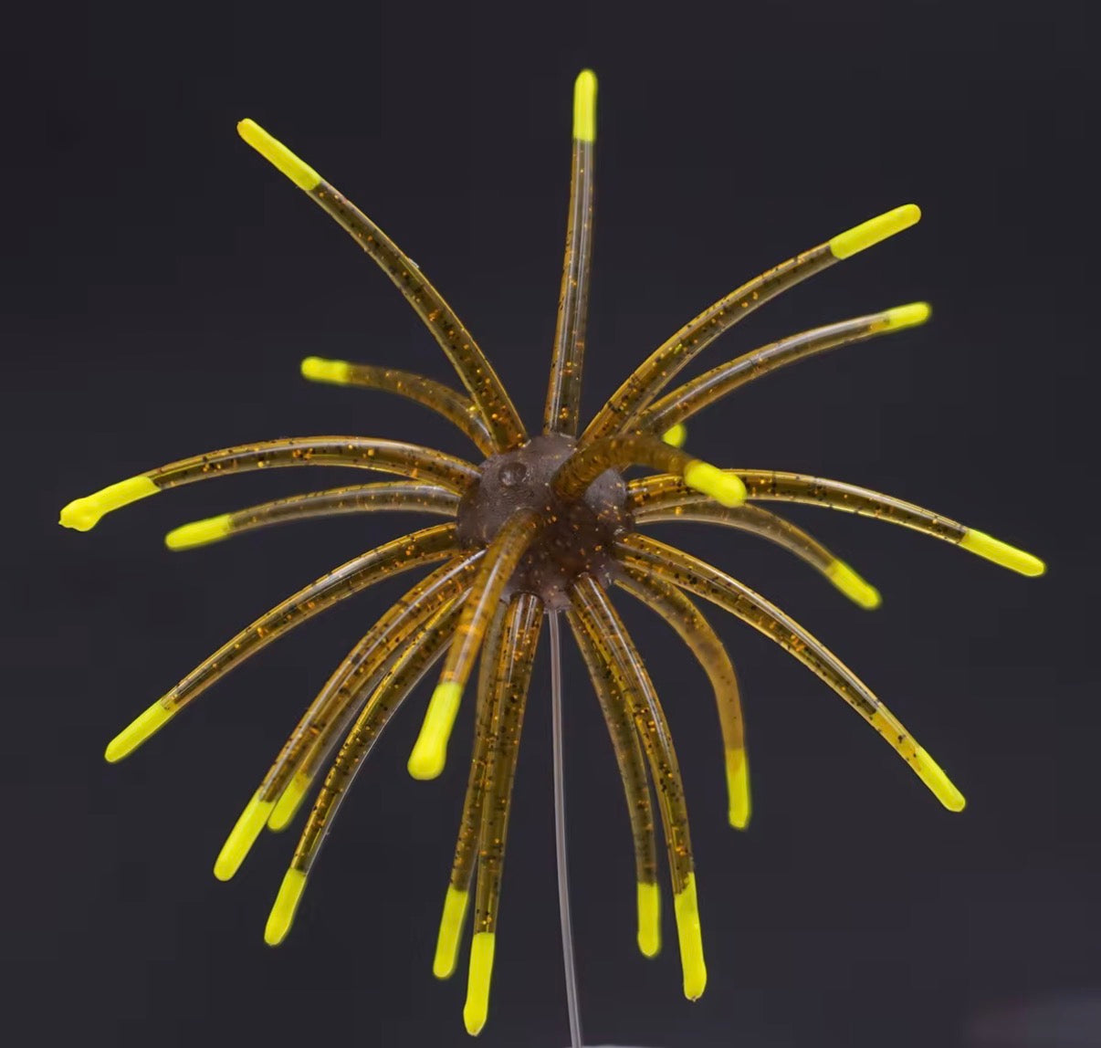 Urchin Bait - 1 pack - 11mm (limited run)