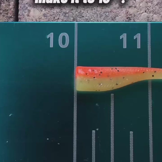 1.5 inch Lil Timmy micro paddle tail swim bait | Citrus Stretch test video – Jonah Lure Works Nine Lives Soft Plastic Swim Bait