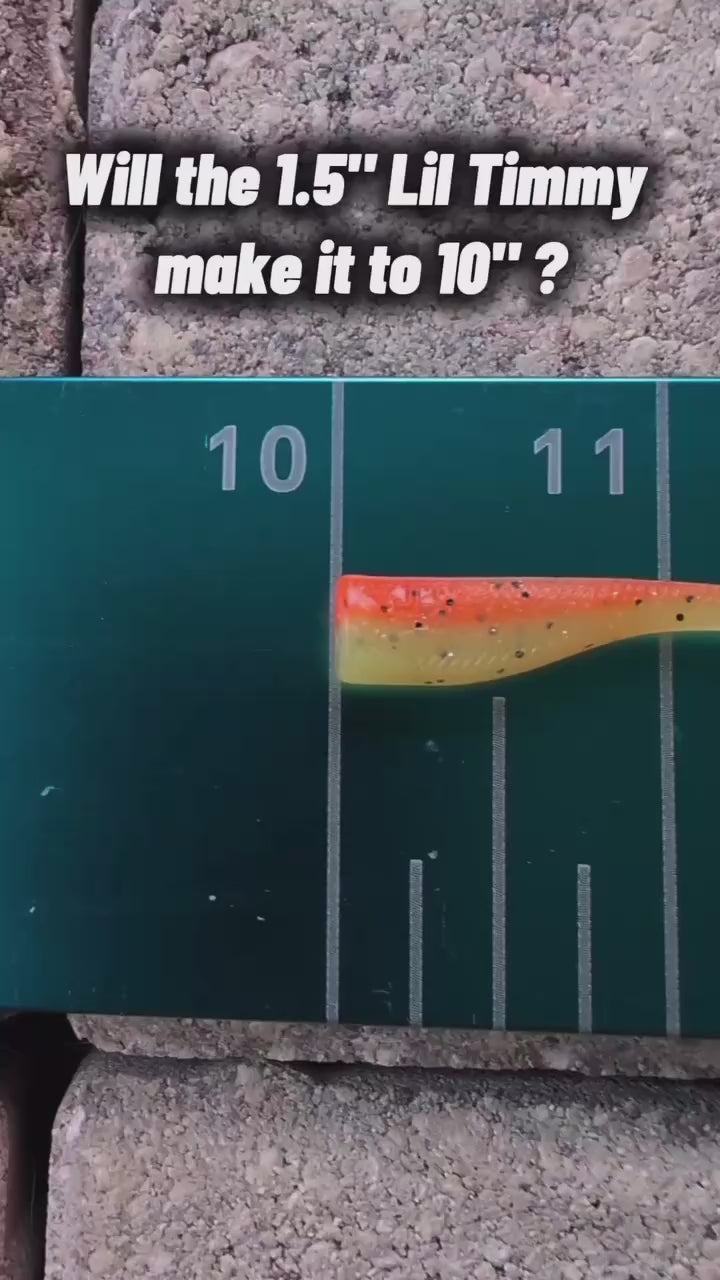 1.5 inch Lil Timmy micro paddle tail swim bait | Citrus Stretch test video – Jonah Lure Works Nine Lives Soft Plastic Swim Bait